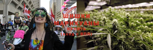 ПСИЛОЦИБИНОВЫЕ ГРИБЫ Абаза