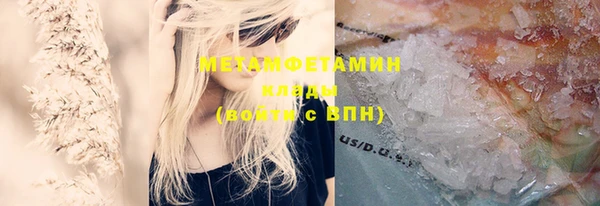 ПСИЛОЦИБИНОВЫЕ ГРИБЫ Абаза
